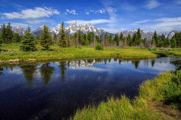 istock Grand Teton Range from Schwabacher Landing 1188960771