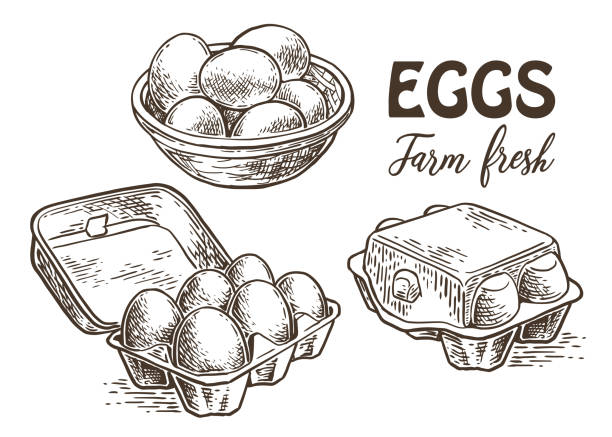 Chicken farm fresh eggs. Vector set of sketch design elements, isolated on white background. Vector hand drawn vintage engraving illustration for poster, label and menu shop