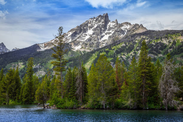 istock Jenny Lake Grand Teton Views 1188962458