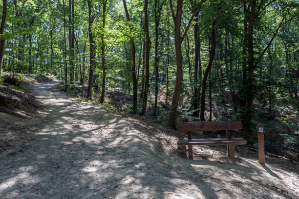 istock Hiking path in the Pilis mountains, Hungary. 1188963017