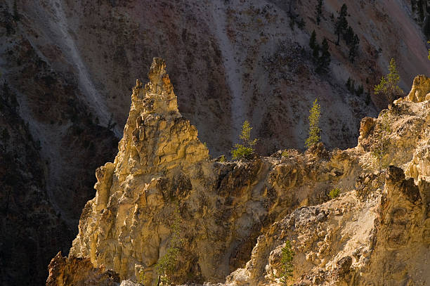 Daybreak at Grand Canyon of the Yellowstone stock photo