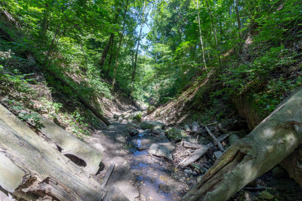 istock Ram canyon in the Pilis Mountains, Hungary. 1188963946