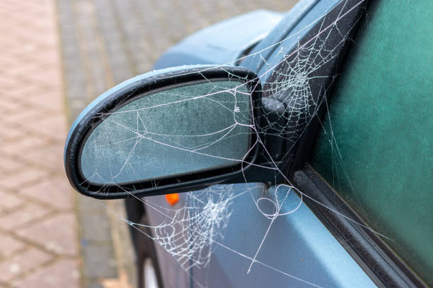 istock Winter time has arrived, spiderwebs  and frozen car windows 1188964049