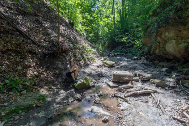 istock Ram canyon in the Pilis Mountains, Hungary. 1188964177