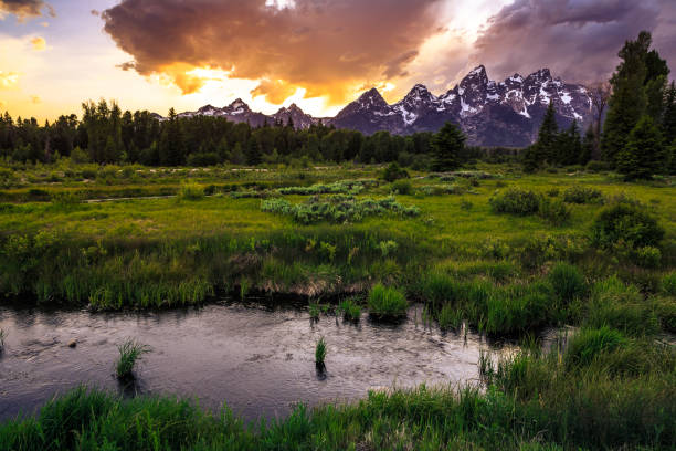 istock Sunset Reflections on the Grand Teton Range from Schwabacher Landing 1188964869