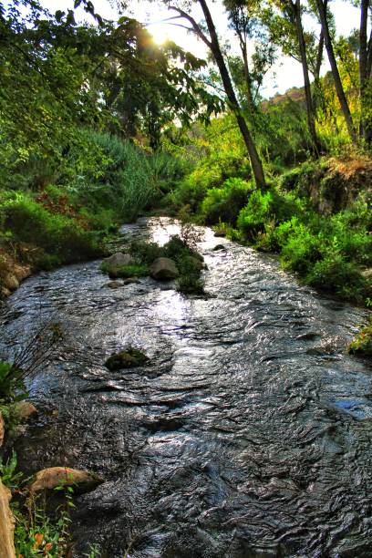 istock Green landscape by the Tuejar river in Chelva 1188965821