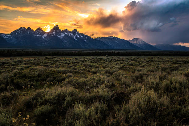 istock Sunset on the Grand Teton Range from the Meadow 1188966113