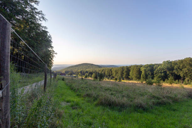 istock Pilis mountains on a summer evening in Hungary. 1188966214
