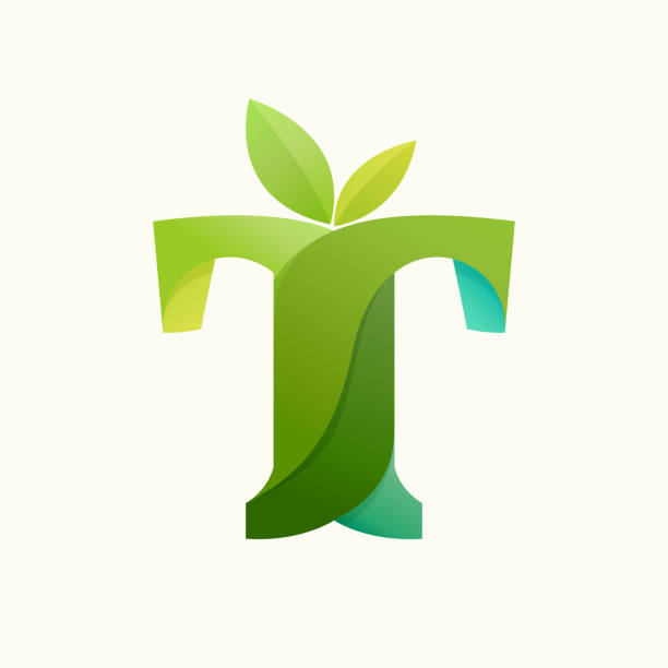 ilustraciones, imágenes clip art, dibujos animados e iconos de stock de logotipo t de letra giratoria con hojas verdes. - letter t tree typescript alphabet