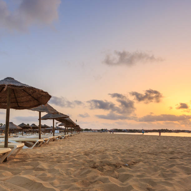 Beach sunbeds and umbrellas