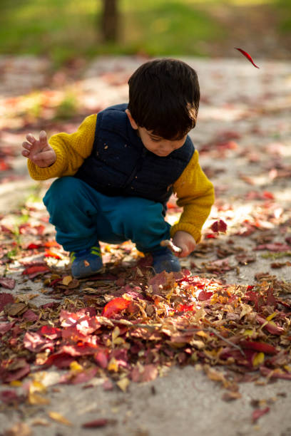 istock Little boy during stroll in the forest at sunny autumn day 1188972687