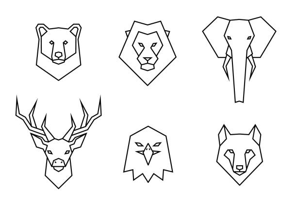 illustrations, cliparts, dessins animés et icônes de ensemble d'icônes d'animaux sauvages de polygone. têtes géométriques d'un ours, d'un lion, d'un éléphant, d'un cerf, d'un aigle et d'un loup. illustration linéaire de collection de vecteur de modèle. - loup