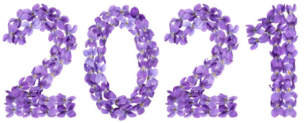 istock Numeral 2021 from flowers of viola, isolated on white background 1188977281