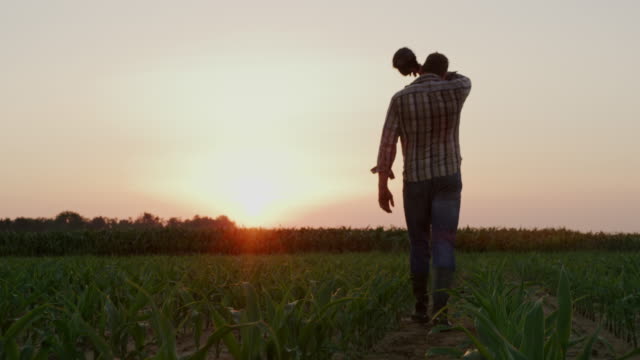 WS Farmer wiping off sweat from forehead while walking on the field at sunset