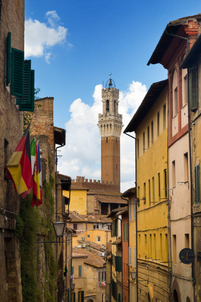 istock Historical centre of Siena 1188978837
