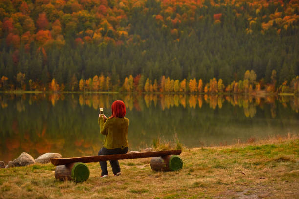 Rear view of redhead woman sitting in solitude at the natural parkland on a wooden bench, taking a picture of the lake