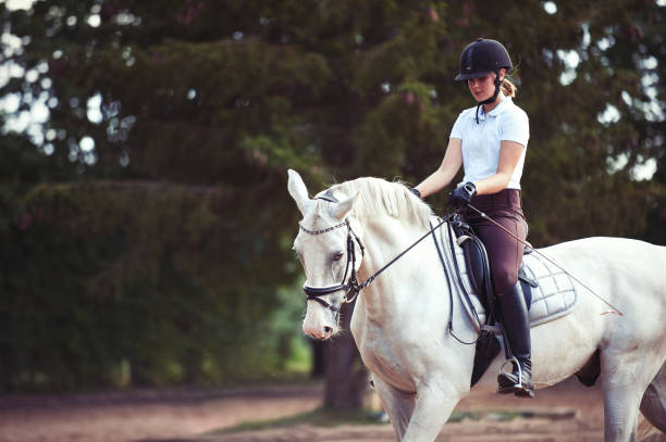 istock Young lady riding a trotting horse practicing at equestrian school 1188979114