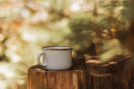 Coffee cup at green blur nature forest. Leisure lifestyle