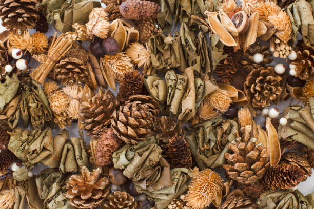 istock Golden Pine cones and dry leaf decoration. 1188980753