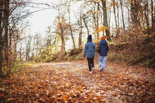 istock Autumn day in the nature 1188988811