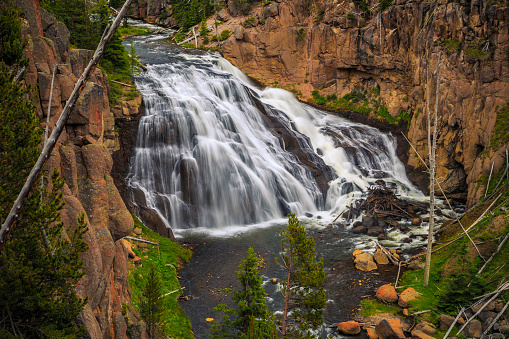 Gibbon Falls at Yellowstone National Park, Wyoming