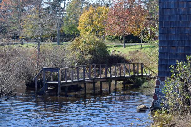 istock foot bridge on the lake 1188994810