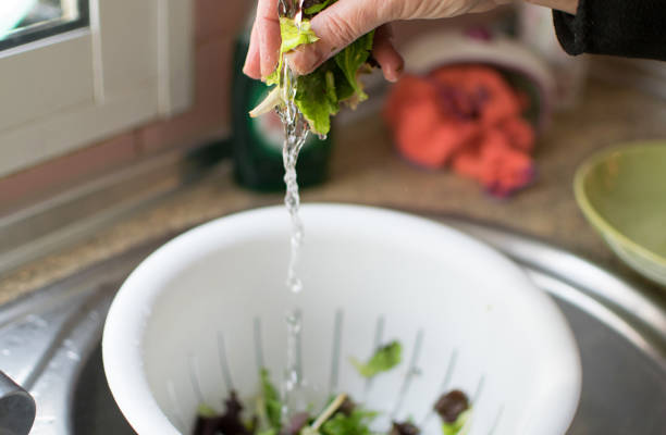 istock Female hands wash lettuce 1188996865