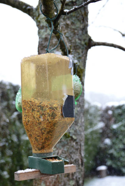 istock Bird feeder for wild bird 1189001395
