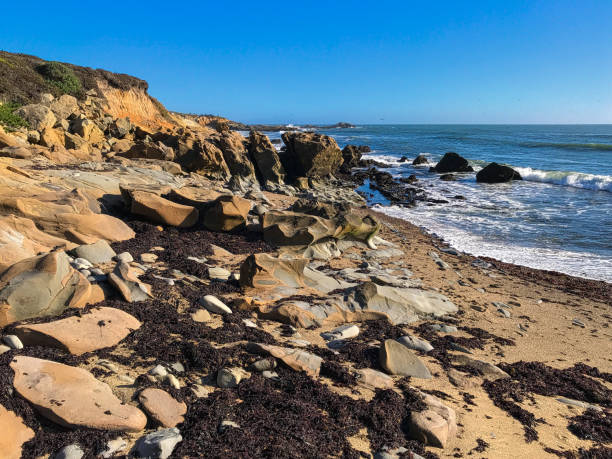 Bean Hoolow State Beach. Seascape California Bean Hoolow State Beach. Seascape California - image bean hollow beach stock pictures, royalty-free photos & images