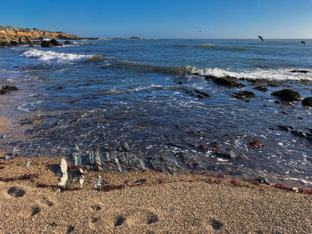 Bean Hoolow State Beach. Seascape California Bean Hoolow State Beach. Seascape California - image bean hollow beach stock pictures, royalty-free photos & images