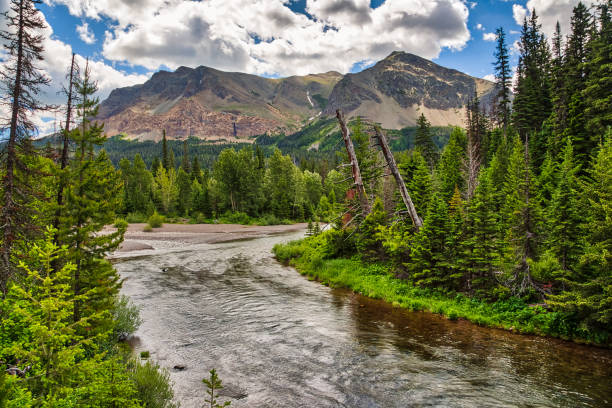 istock Glacier National Park River and Mountain Views 1189002292