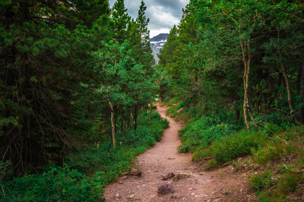Hiking Trails in Glacier National Park, Montana