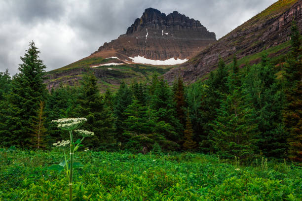 istock Many Glacier Hiking Trail Scenics, Glacier National Park 1189003422