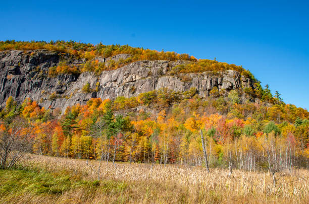 istock Fall colors in the North country NY 1189007965