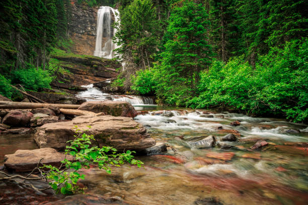 virginia falls dans le parc national des glaciers dans le montana - chutes virginia photos et images de collection