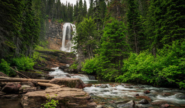 virginia falls dans le parc national des glaciers dans le montana - chutes virginia photos et images de collection