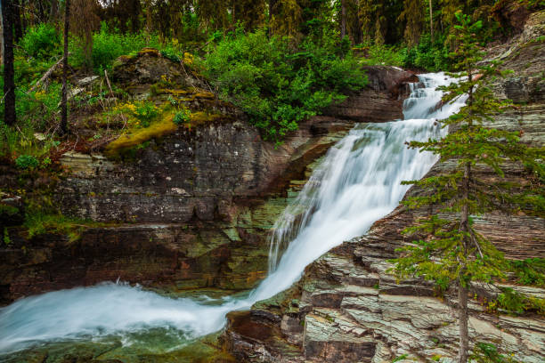 vue sur la randonnée en cascade sur la rivière au parc national des glaciers - chutes virginia photos et images de collection