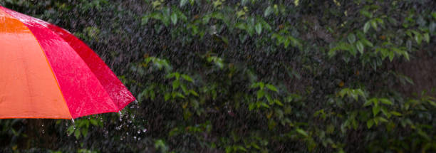istock Banner Wide Red Umbrella with rain splatter and bush 1189009420
