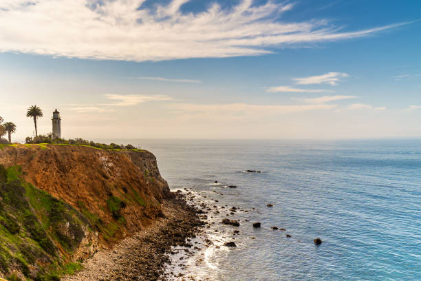 istock blue sky and ocean, palm tree at Torrance California 1189012132