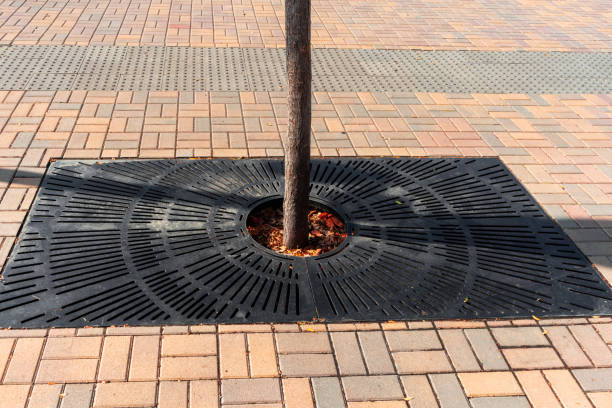 istock Metal grate for tree in a city walkway 1189014056