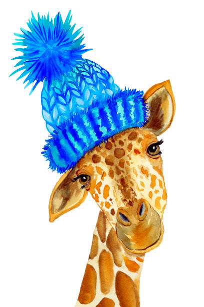 2,423 Giraffe With No Neck Pictures Illustrations & Clip Art - iStock