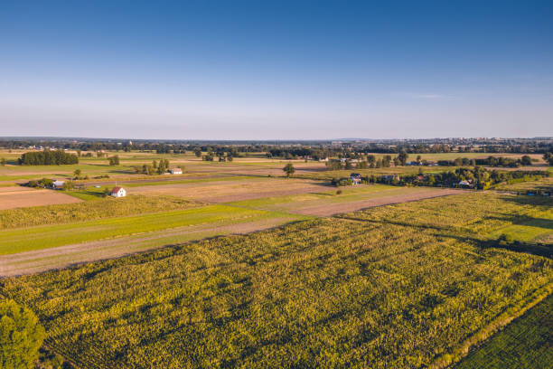 istock Aerial view of a rural landscape 1189015527