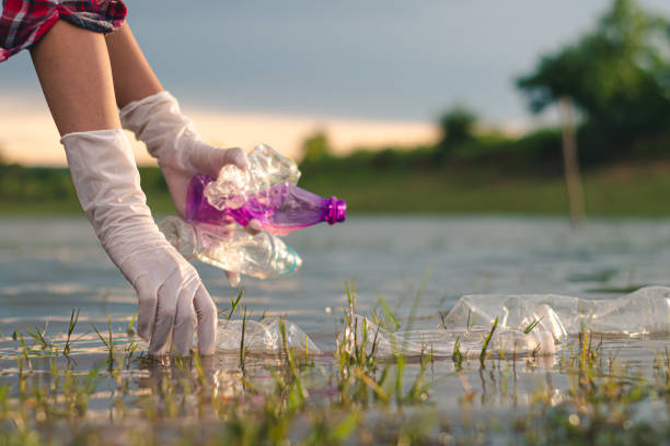 istock Women volunteer help garbage collection for to recycling and the campaign to stop using plastic to reduce global warming. 1189015564