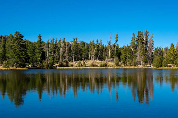 istock Rocky Mountain National Park - Sprague Lake Reflecting Trees 1189020537