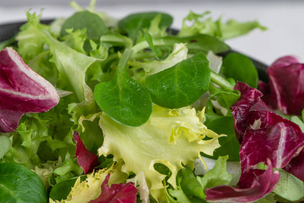 il mix di insalate lascia lo sfondo. motivo di insalata fresca con rucola, lattuga viola, spinaci, frisee e foglie di bietola - lettuce endive abstract leaf foto e immagini stock