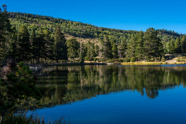 istock Rocky Mountain National Park - Sprague Lake Mountain & Trees Reflection 1189021470