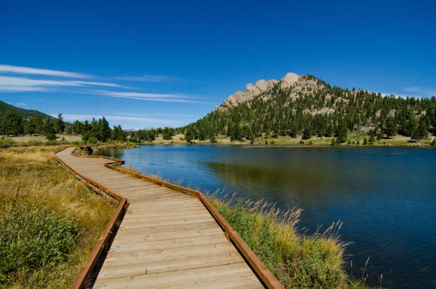 istock Rocky Mountain National Park - Lily Lake Boardwalk Trail 1189021680