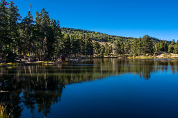 istock Rocky Mountain National Park - Sprague Lake Late Afternoon Reflection 1189022475