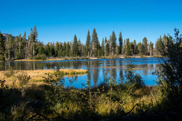 istock Rocky Mountain National Park - Sprague Lake 1189022743