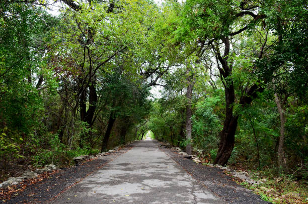 Early morning walk through the Japanese Tea Garden. Vanishing points can be seen from one end to the other.  The picturesque landscaped garden photo was taken in Brackenridge Park, San Antonio, Texas, in October 2019.